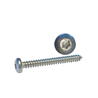 Skruv Cylinderhuvud 3,5 x 25 A4 Torx-spår ISO14585 20st.